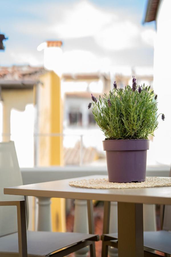 Olive Loft Apartman Firenze Kültér fotó
